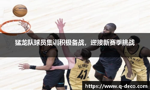 猛龙队球员集训积极备战，迎接新赛季挑战